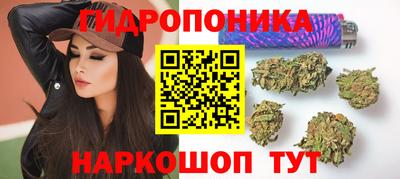 трава Гусиноозёрск