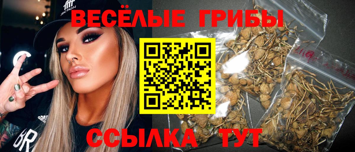 Новотроицк  Псилоцибиновые грибы прущие грибы  Вход с VPN 