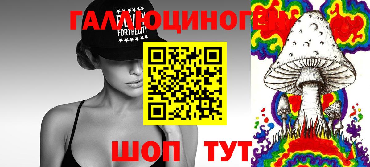 Псилоцибиновые грибы Psilocybine cubensis Новотроицк
